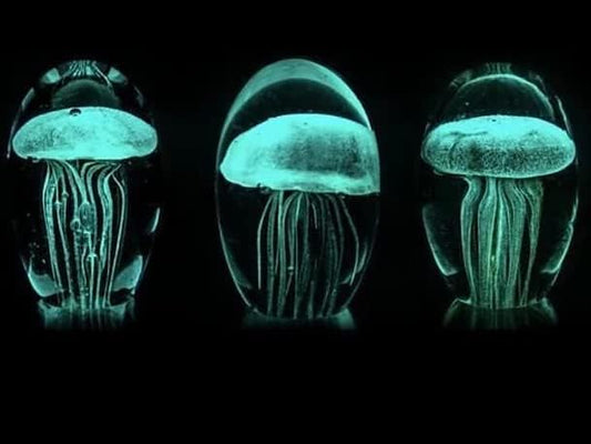 Lampada Medusa blu, fosforescente 3d di cristallo grande, con base e luce a led, confezione regalo incluso