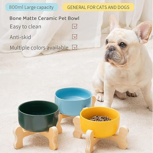 Ceramic dog bowl, wooden bone base, various colors